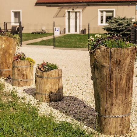 Apartament Pod Lasem Leilighet Oldrzychowice Klodzkie Eksteriør bilde